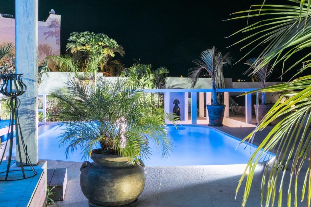 VILLA BLUE LAGOON Suite apartment Lowlands Extérieur photo