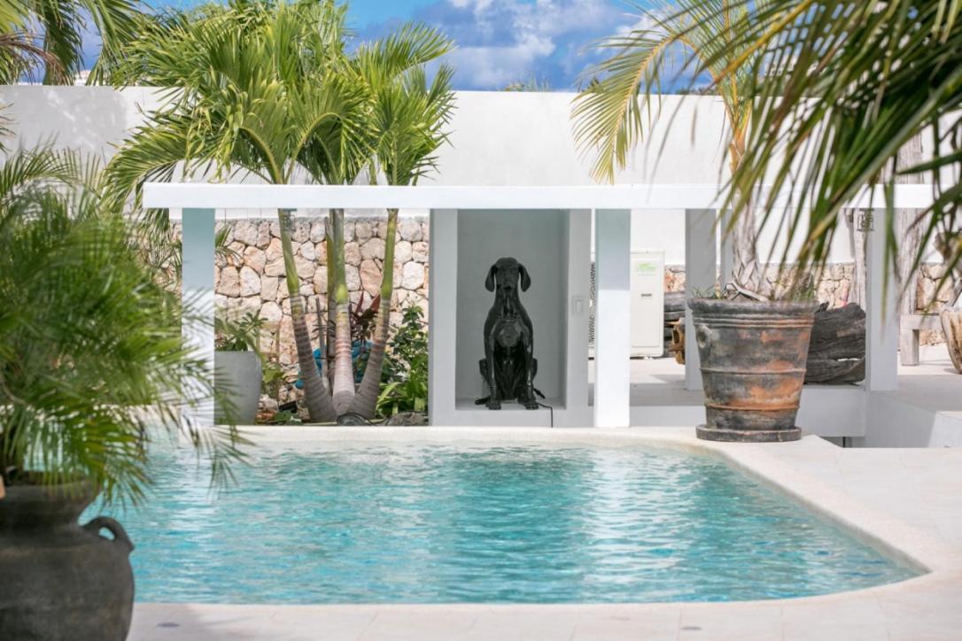 VILLA BLUE LAGOON Suite apartment Lowlands Extérieur photo